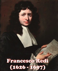 Redi